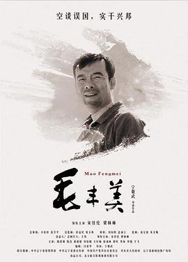电影：毛丰美