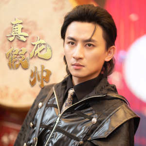 电影：真假龙帅