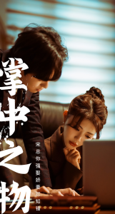 电影：掌中之物：宋总娶娇妻可知错