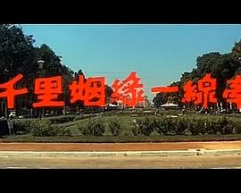 电影：千里姻缘一线牵
