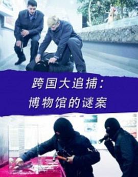 电影：跨国大追捕：博物馆的谜案