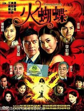 电影：火蝴蝶2008